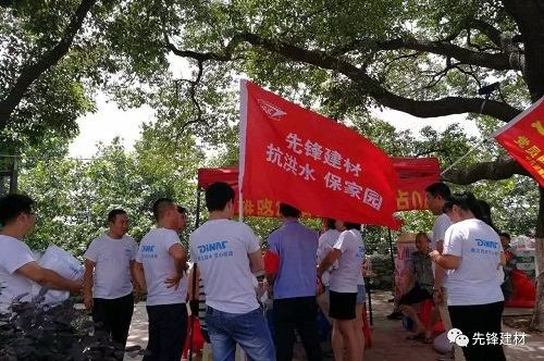 抗洪水、保家園，先鋒在行動(dòng)